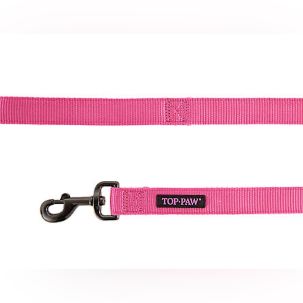 Top Paw® Gunmetal Double Nylon Dog Leash: 6-ft long, 1-in wide